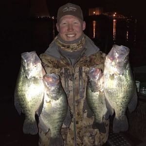 Meet your Posher, Tyler